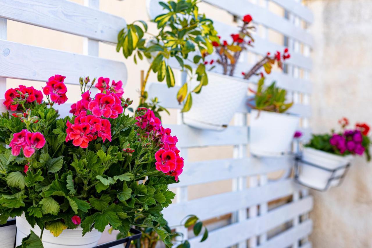 Guest house Trapani Home Trapani