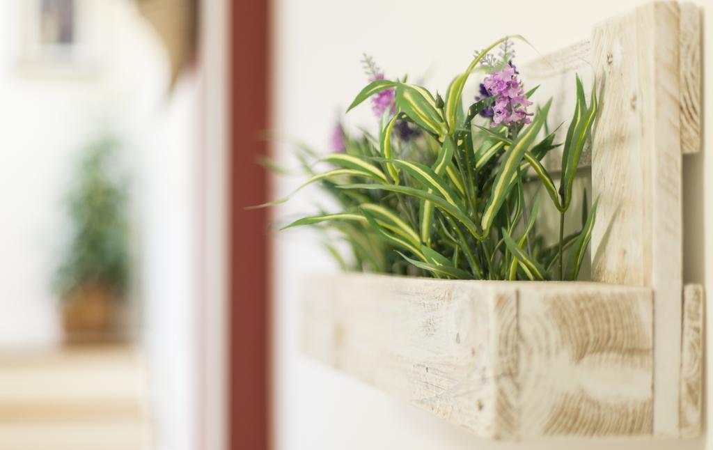 Guest house Trapani Home